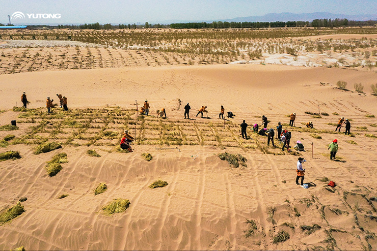 Nega Yutong “Net Zero Forest” tashabbusini boshladi?